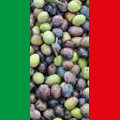 Olives Italiennes