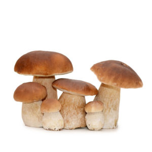 Champignons